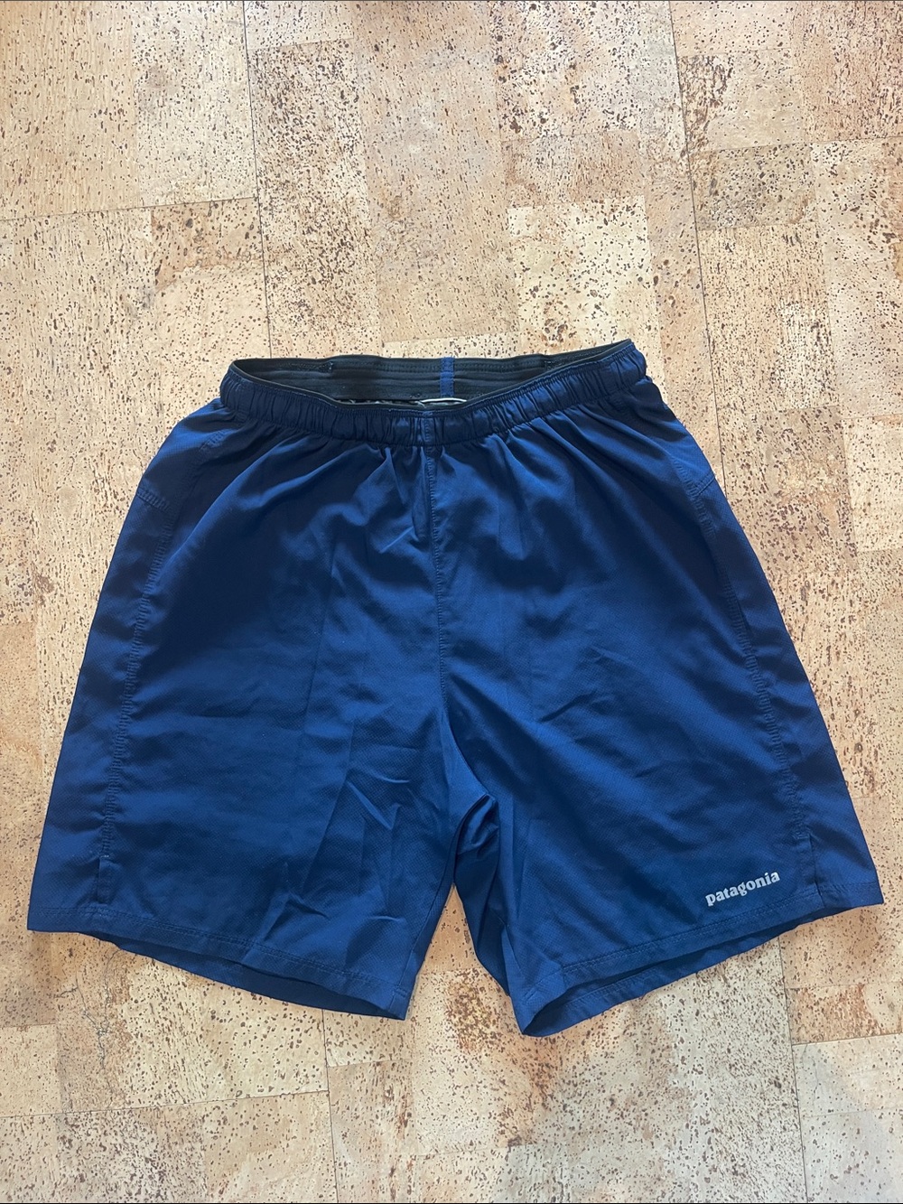 Patagonia Men's Navy Blue lined Shorts